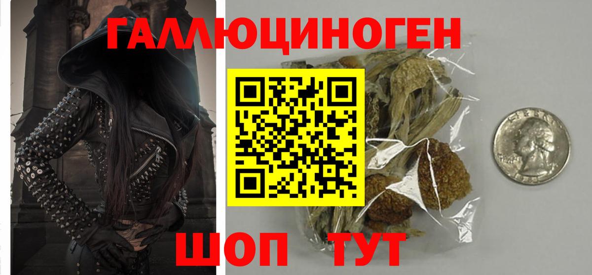 Галлюциногенные грибы ЛСД  Псилоцибиновые грибы Magic Shrooms  Вход с VPN  Карачаевск 